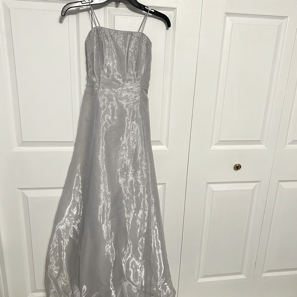 A long Sliver dress